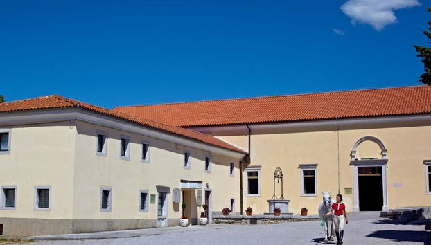Horse breeding farm in Lipica