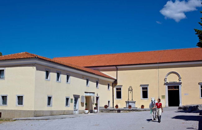 Lipica Horse Farm & Škocjan Caves Excursion - Photo 4