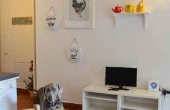 Casa Celeste Ledro - Foto 20