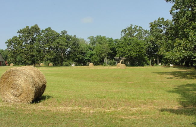 Stone Meadow Resort - Foto 21