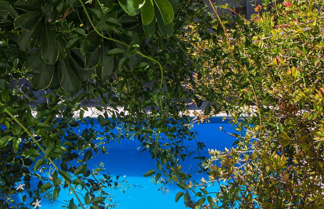 Paradise Departamentos - Foto 32