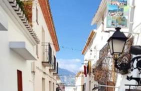 Salamandra - Photo 47