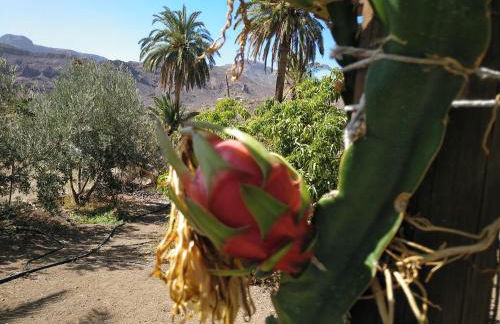Las Casas de la Rueda - La Casita - Foto 33