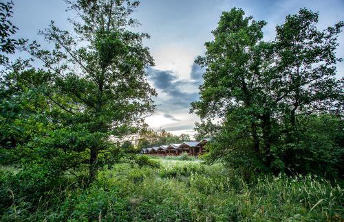 Bliżej Natury - Foto 8