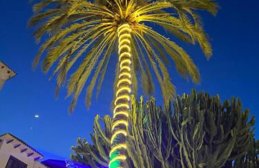 Palmview Poolside Heaven in Turquesa del Mar - Foto 51