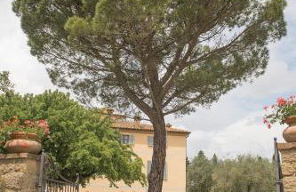 Terre di Nano - Foto 1