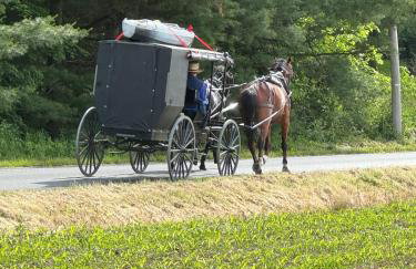 Nature Valley Farm- 2BD/1BA on private 53 acres - Foto 15