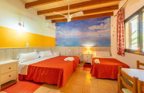 El Bosque Candy - Foto 31