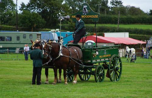 Character 2 double bedroom cottage in Shaftesbury - Foto 55