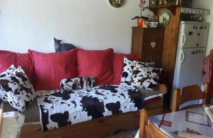 Les Silenes - Foto 6