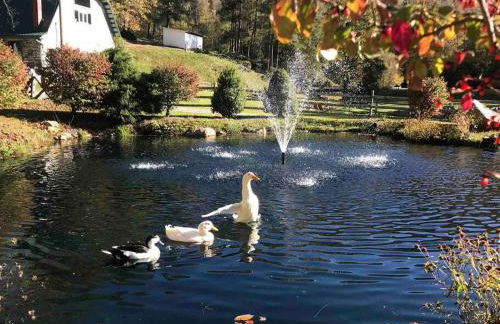 LUXURY!! Hot Tub, Pool Table, River & Petting zoo? - Foto 63