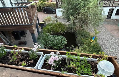 Am Storchennest - Foto 10