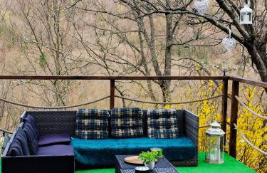 UNDER THE GREEN ROOF - Foto 60
