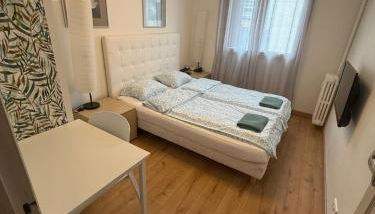The NICE - 3 rooms, 3air cond, 3TV, 3fans, 2 wc, WIfi everywhere 5min aeroport, train, beach, 1min tram, 15 min centre, port, parking possible - Foto 2