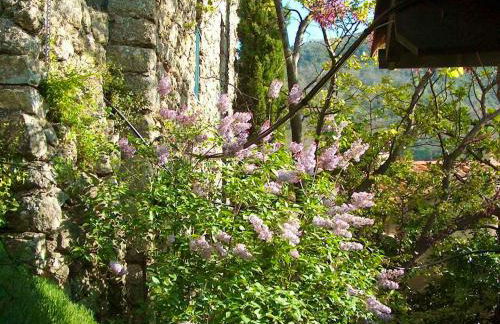 Maison charmante à Valleraugue avec piscine partagée. - Foto 17