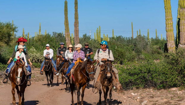 Écoutez les explications du guide