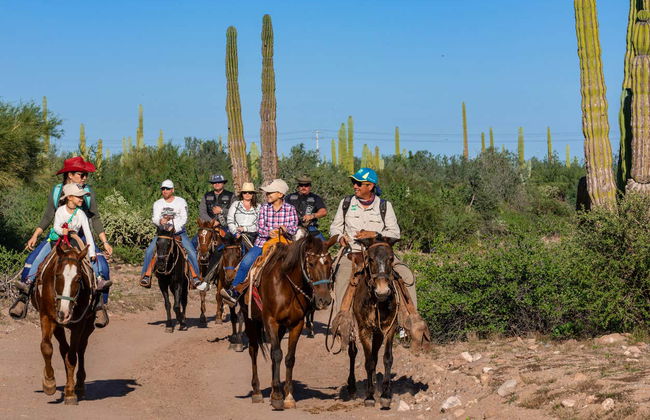 Balade à cheval dans le désert de Basse-Californie - Photo 3