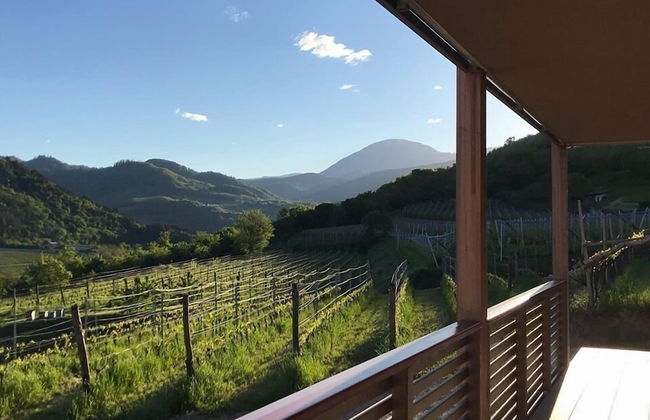 Agritur Verderame - Foto 59