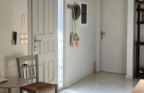 Pantheon Apartments & Studios - Photo 16