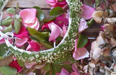 Villa Ioanneta - Close to sea, private parking, pet-friendly - Photo 42