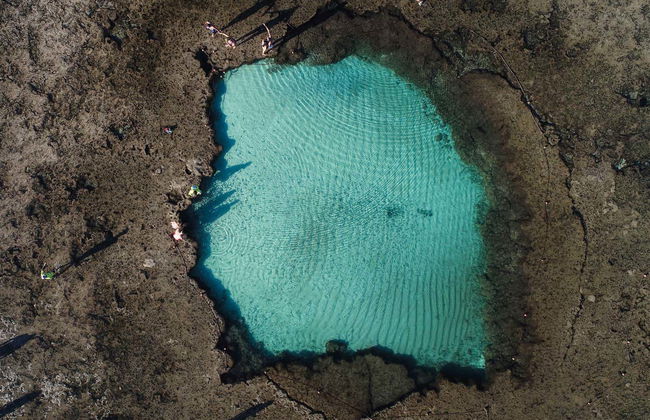 Escursione a Porto de Galinhas - Foto 3