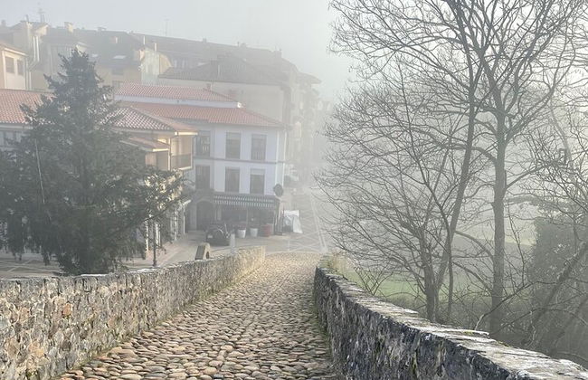 Private Tour from Oviedo to Covadonga, lakes, & sailors villages - Photo 13