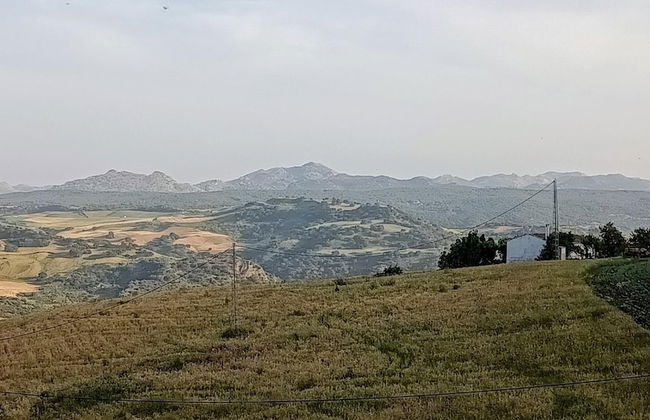 Nature Lovers Escape on an Eco-friendly Vineyard - Foto 38