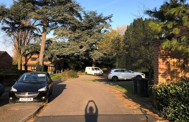 The Cedars - Foto 22