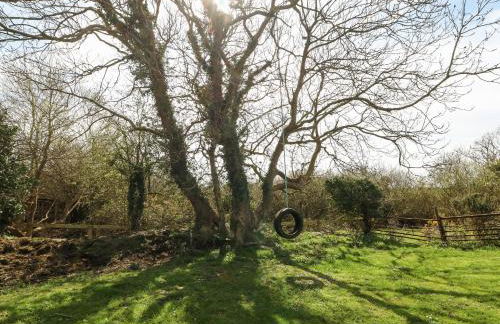 Cwrt y Ceffyl - Photo 26