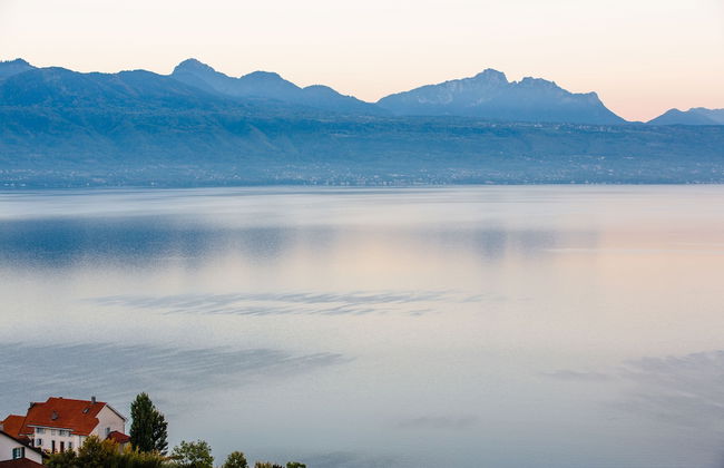 domaine du deven - Foto 68