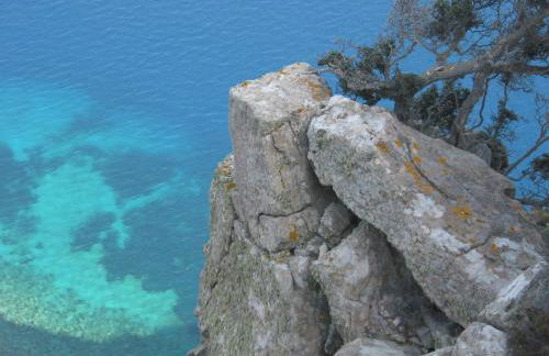 Level Houses - Foto 43