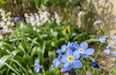 Wishbone Cottage In The Cotswolds - Foto 17