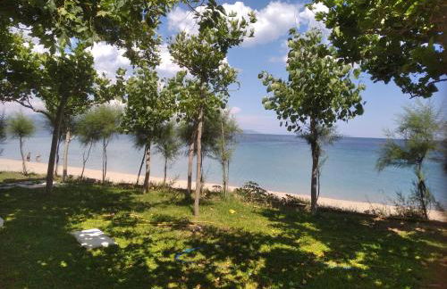 Angie's Summertime - Foto 3