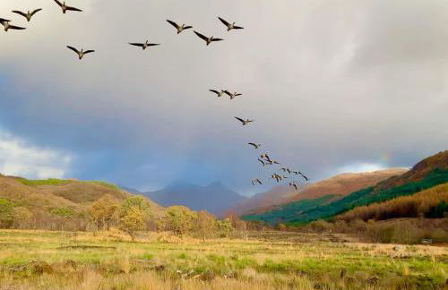 Allt An Dorran - Photo 37