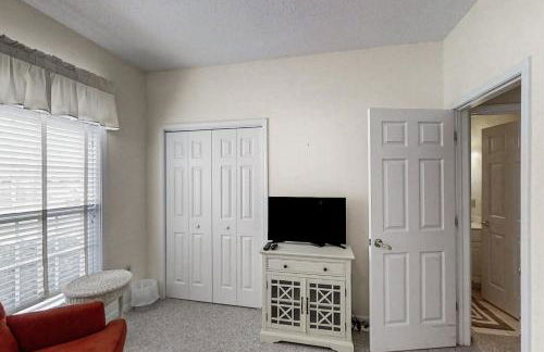 Scotch Broom E-104 - Foto 20