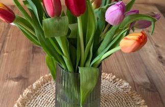 Appartamento Morettina con terrazzo - Foto 12