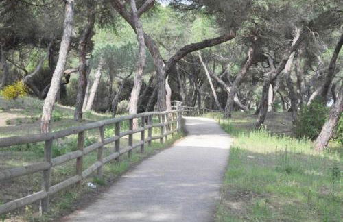 Apartamento junto a la playa con piscina y parking - Foto 21