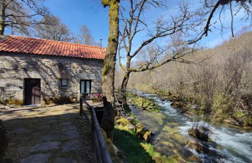 Moinhos do Poço Verde - Foto 49