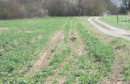 Wohnung-Aublick - Foto 18