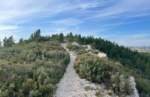 La Tiny House des Oliviers et son jacuzzi - Foto 11