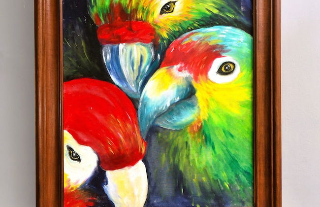 Papaya Dreams - Foto 5