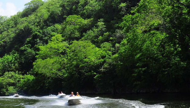 Chavón River Speedboat Rental - Foto 4