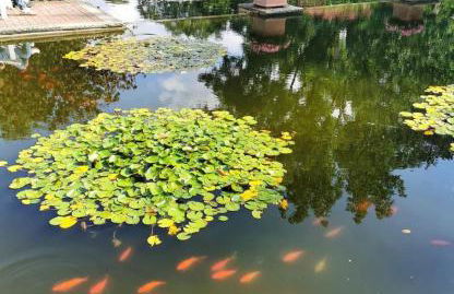 Hamburg Niendorf-Suite - Foto 55