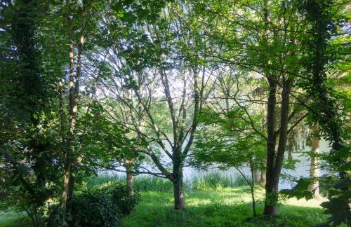 Proche ORLEANS - Maison 2 chambres - Accès direct au Bord du Loiret - Photo 19