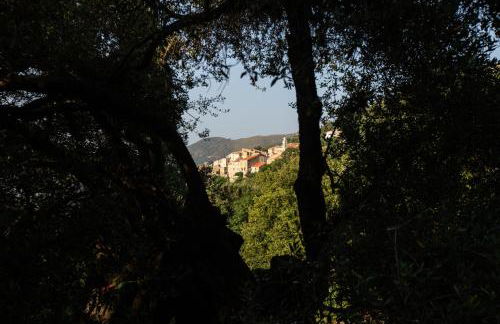 costa di sognu - Foto 10