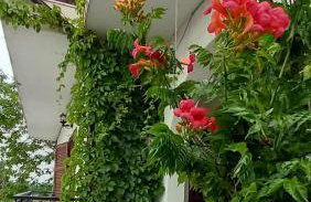 Olympos Philoxenia, μεταξύ βουνού και θάλασσας - Foto 31