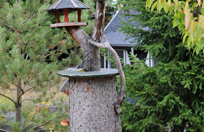 Holzchalet E - Foto 35