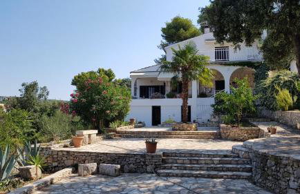 Apartment in Maslinica 70m from the sea - Photo 5