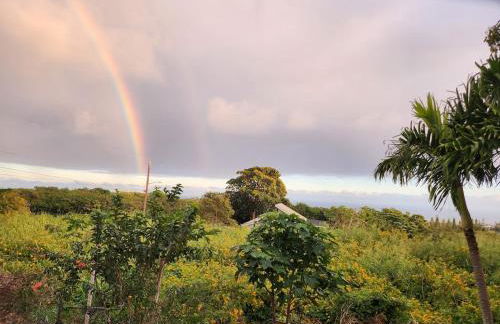 Hau' Oli' Io - Foto 38