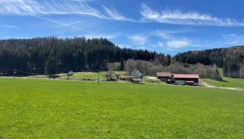 Idyllisches Ferienapartment Allgäu (Ehwiesmühle) - Foto 1